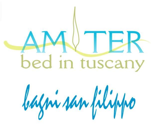 Ferienwohnung Amiter Bagni San Filippo Exterior foto